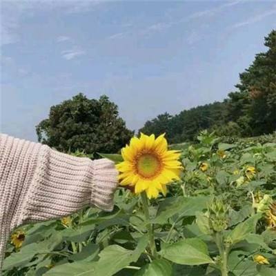 绣春刀修罗战场手机版